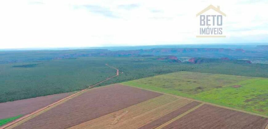 Fazenda à Venda 2618 hectares com plantio e produção ótima localização Alagoinha PI