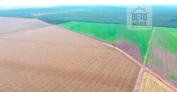 Fazenda à Venda 2618 hectares com plantio e produção ótima localização Alagoinha PI