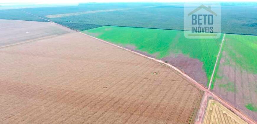 Fazenda à Venda 2618 hectares com plantio e produção ótima localização Alagoinha PI