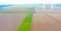 Fazenda à Venda 2618 hectares com plantio e produção ótima localização Alagoinha PI