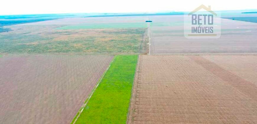 Fazenda à Venda 2618 hectares com plantio e produção ótima localização Alagoinha PI