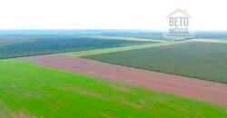 Fazenda à Venda 2618 hectares com plantio e produção ótima localização Alagoinha PI