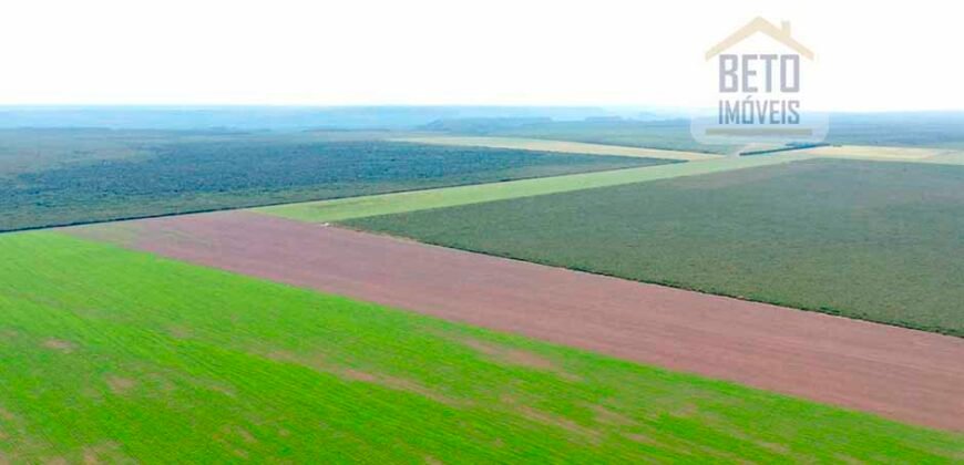 Fazenda à Venda 2618 hectares com plantio e produção ótima localização Alagoinha PI