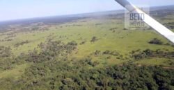 Venda de Fazenda no Pantanal com 88 mil hectares – Poconé – MT Venda de Fazenda no Pantanal com 88 mil hectares – Poconé – MT