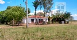 Venda de Fazenda no Pantanal com 88 mil hectares – Poconé – MT Venda de Fazenda no Pantanal com 88 mil hectares – Poconé – MT