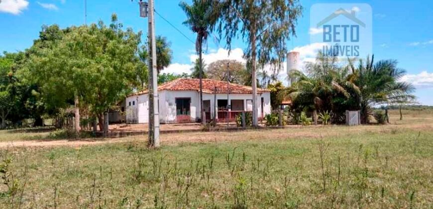 Venda de Fazenda no Pantanal com 88 mil hectares – Poconé – MT Venda de Fazenda no Pantanal com 88 mil hectares – Poconé – MT