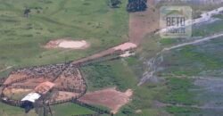 Venda de Fazenda no Pantanal com 88 mil hectares – Poconé – MT Venda de Fazenda no Pantanal com 88 mil hectares – Poconé – MT