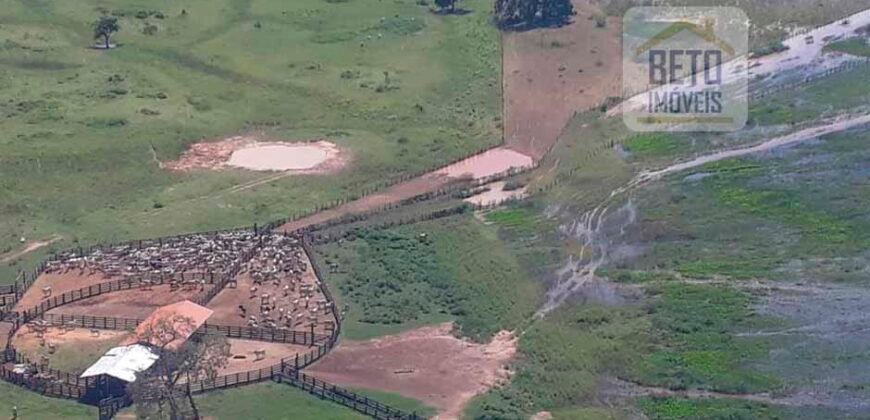 Venda de Fazenda no Pantanal com 88 mil hectares – Poconé – MT Venda de Fazenda no Pantanal com 88 mil hectares – Poconé – MT