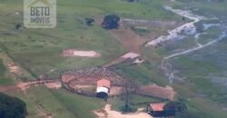 Venda de Fazenda no Pantanal com 88 mil hectares – Poconé – MT Venda de Fazenda no Pantanal com 88 mil hectares – Poconé – MT
