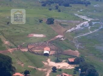 Venda de Fazenda no Pantanal com 88 mil hectares – Poconé – MT