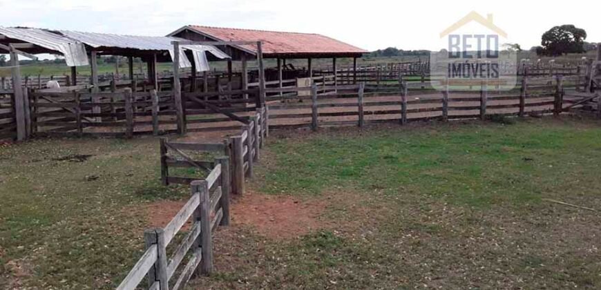 Venda de Fazenda no Pantanal com 88 mil hectares – Poconé – MT Venda de Fazenda no Pantanal com 88 mil hectares – Poconé – MT