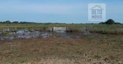 Venda de Fazenda no Pantanal com 88 mil hectares – Poconé – MT Venda de Fazenda no Pantanal com 88 mil hectares – Poconé – MT