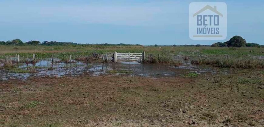 Venda de Fazenda no Pantanal com 88 mil hectares – Poconé – MT Venda de Fazenda no Pantanal com 88 mil hectares – Poconé – MT