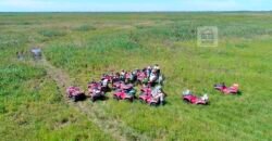 Venda de Fazenda no Pantanal com 88 mil hectares – Poconé – MT Venda de Fazenda no Pantanal com 88 mil hectares – Poconé – MT
