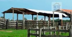 Venda de Fazenda no Pantanal com 88 mil hectares – Poconé – MT Venda de Fazenda no Pantanal com 88 mil hectares – Poconé – MT