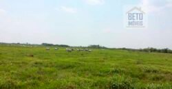 Venda de Fazenda no Pantanal com 88 mil hectares – Poconé – MT Venda de Fazenda no Pantanal com 88 mil hectares – Poconé – MT