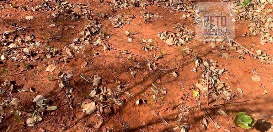 Fazenda toda no cerrado 3.305 Alqueires. em Alto Parnaíba – MA