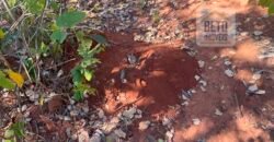 Fazenda toda no cerrado 3.305 Alqueires. em Alto Parnaíba – MA