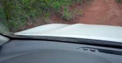 Fazenda toda no cerrado 3.305 Alqueires. em Alto Parnaíba – MA