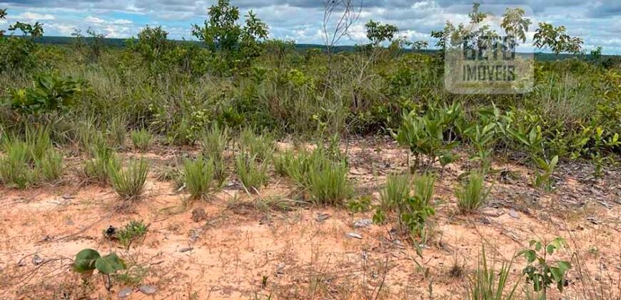 Fazenda toda no cerrado 3.305 Alqueires. em Alto Parnaíba – MA