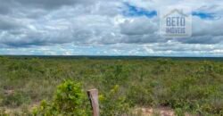 Fazenda toda no cerrado 3.305 Alqueires. em Alto Parnaíba – MA