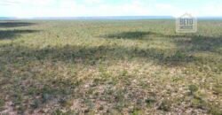 Fazenda toda no cerrado 3.305 Alqueires. em Alto Parnaíba – MA