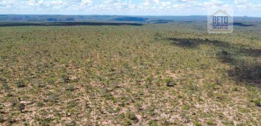 Fazenda toda no cerrado 3.305 Alqueires. em Alto Parnaíba – MA