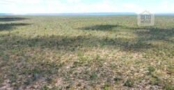 Fazenda toda no cerrado 3.305 Alqueires. em Alto Parnaíba – MA