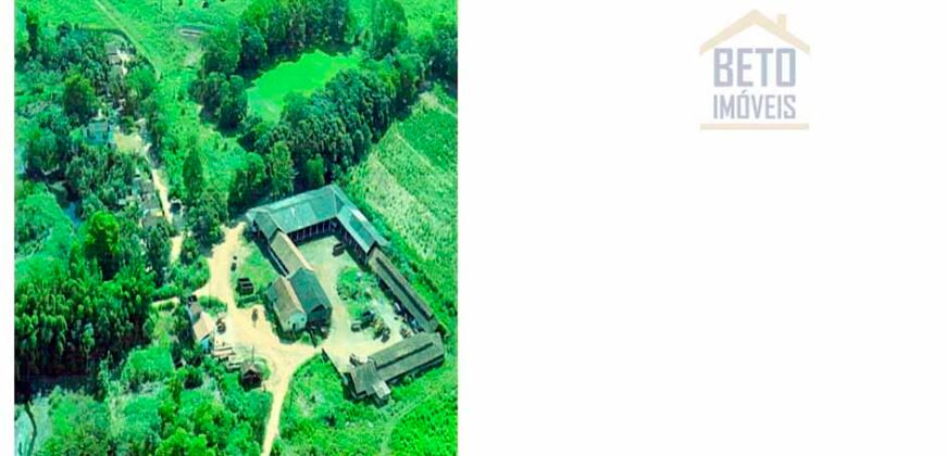 Fazenda espetacular 4.660 ha em Zona Rural – Rio Casca – MG Fazenda espetacular 4.660 ha em Zona Rural – Rio Casca – MG