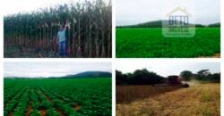 Fazenda espetacular 4.660 ha em Zona Rural – Rio Casca – MG Fazenda espetacular 4.660 ha em Zona Rural – Rio Casca – MG
