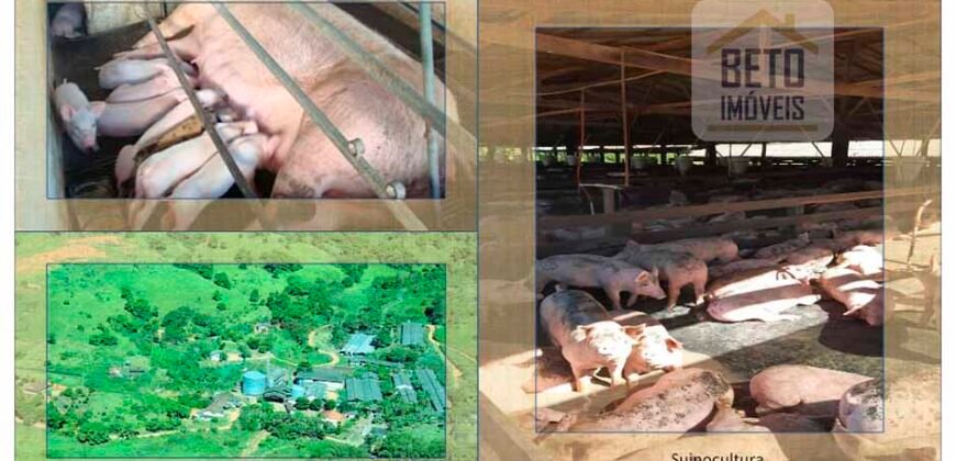 Fazenda espetacular 4.660 ha em Zona Rural – Rio Casca – MG Fazenda espetacular 4.660 ha em Zona Rural – Rio Casca – MG