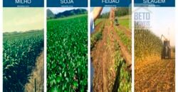 Fazenda espetacular 4.660 ha em Zona Rural – Rio Casca – MG Fazenda espetacular 4.660 ha em Zona Rural – Rio Casca – MG