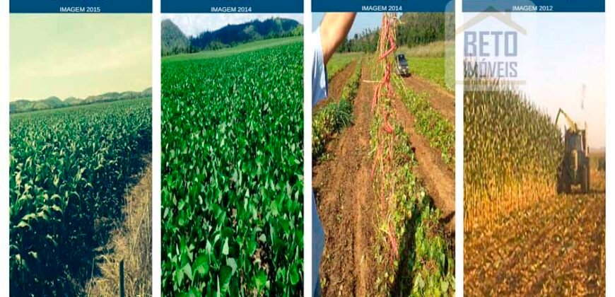 Fazenda espetacular 4.660 ha em Zona Rural – Rio Casca – MG Fazenda espetacular 4.660 ha em Zona Rural – Rio Casca – MG