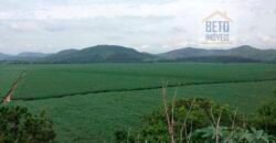 Fazenda espetacular 4.660 ha em Zona Rural – Rio Casca – MG Fazenda espetacular 4.660 ha em Zona Rural – Rio Casca – MG