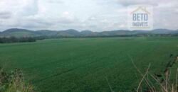 Fazenda espetacular 4.660 ha em Zona Rural – Rio Casca – MG Fazenda espetacular 4.660 ha em Zona Rural – Rio Casca – MG