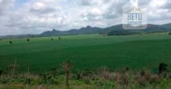 Fazenda espetacular 4.660 ha em Zona Rural – Rio Casca – MG Fazenda espetacular 4.660 ha em Zona Rural – Rio Casca – MG