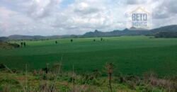 Fazenda espetacular 4.660 ha em Zona Rural – Rio Casca – MG Fazenda espetacular 4.660 ha em Zona Rural – Rio Casca – MG