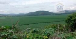 Fazenda espetacular 4.660 ha em Zona Rural – Rio Casca – MG Fazenda espetacular 4.660 ha em Zona Rural – Rio Casca – MG