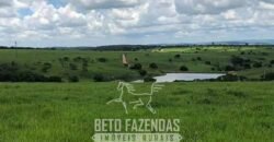 Fazenda à Venda, 6.000 hectares em Nova Olinda do Maranhão – MA Fazenda à Venda, 6.000 hectares em Nova Olinda do Maranhão – MA