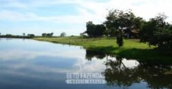 Fazenda à Venda, 6.000 hectares em Nova Olinda do Maranhão – MA Fazenda à Venda, 6.000 hectares em Nova Olinda do Maranhão – MA