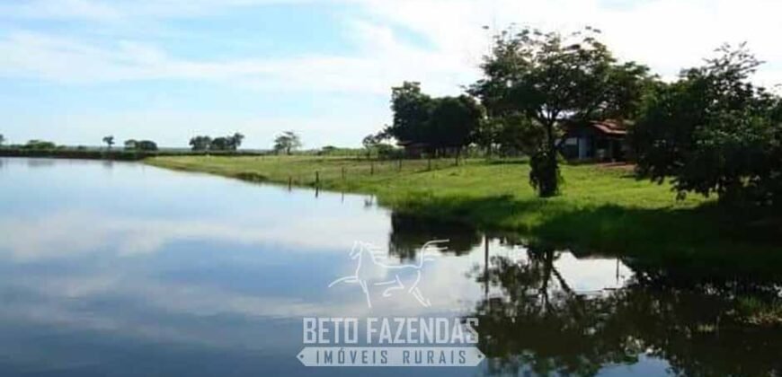Fazenda à Venda, 6.000 hectares em Nova Olinda do Maranhão – MA Fazenda à Venda, 6.000 hectares em Nova Olinda do Maranhão – MA