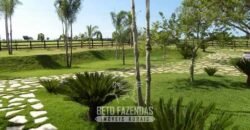 Fazenda à Venda, 6.000 hectares em Nova Olinda do Maranhão – MA Fazenda à Venda, 6.000 hectares em Nova Olinda do Maranhão – MA