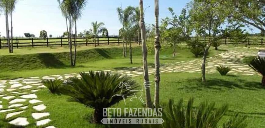 Fazenda à Venda, 6.000 hectares em Nova Olinda do Maranhão – MA Fazenda à Venda, 6.000 hectares em Nova Olinda do Maranhão – MA