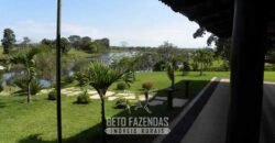 Fazenda à Venda, 6.000 hectares em Nova Olinda do Maranhão – MA Fazenda à Venda, 6.000 hectares em Nova Olinda do Maranhão – MA