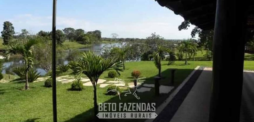 Fazenda à Venda, 6.000 hectares em Nova Olinda do Maranhão – MA Fazenda à Venda, 6.000 hectares em Nova Olinda do Maranhão – MA