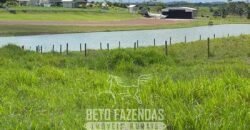 Fazenda à Venda, 6.000 hectares em Nova Olinda do Maranhão – MA Fazenda à Venda, 6.000 hectares em Nova Olinda do Maranhão – MA