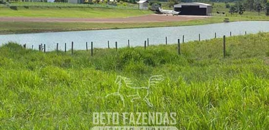 Fazenda à Venda, 6.000 hectares em Nova Olinda do Maranhão – MA Fazenda à Venda, 6.000 hectares em Nova Olinda do Maranhão – MA