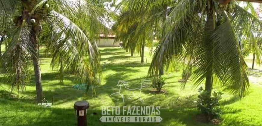 Fazenda à Venda, 6.000 hectares em Nova Olinda do Maranhão – MA Fazenda à Venda, 6.000 hectares em Nova Olinda do Maranhão – MA