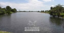 Fazenda à Venda, 6.000 hectares em Nova Olinda do Maranhão – MA Fazenda à Venda, 6.000 hectares em Nova Olinda do Maranhão – MA