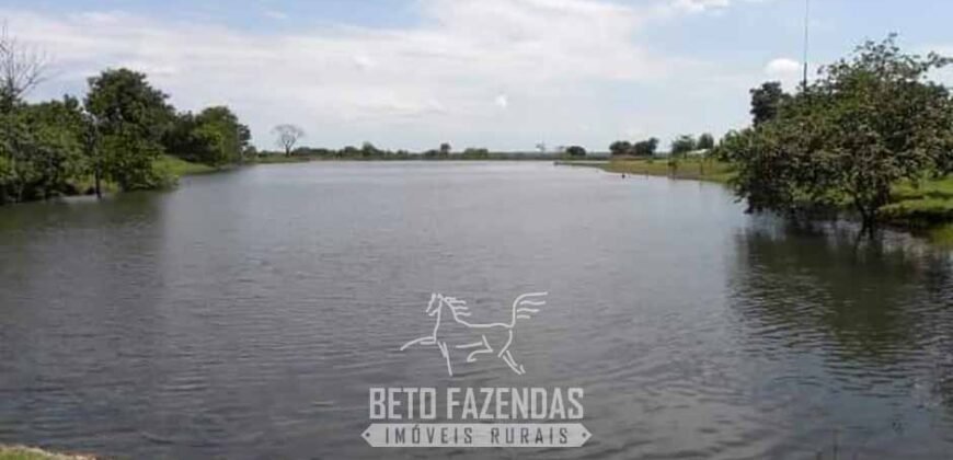 Fazenda à Venda, 6.000 hectares em Nova Olinda do Maranhão – MA Fazenda à Venda, 6.000 hectares em Nova Olinda do Maranhão – MA